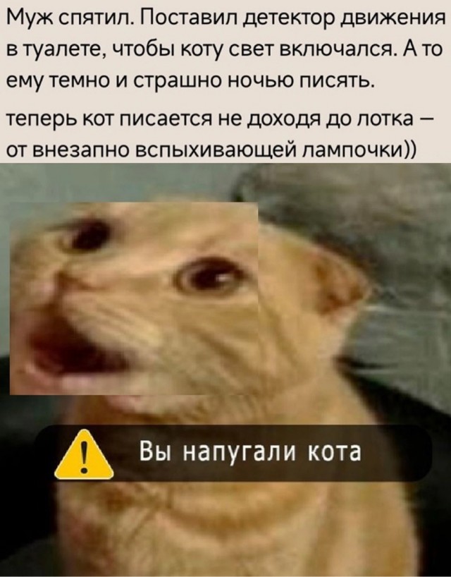 Так себе картинки 01.06.24