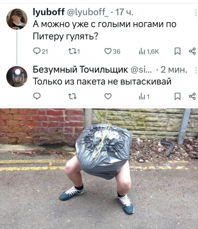 Картинки из мусорной корзины 14.07.24