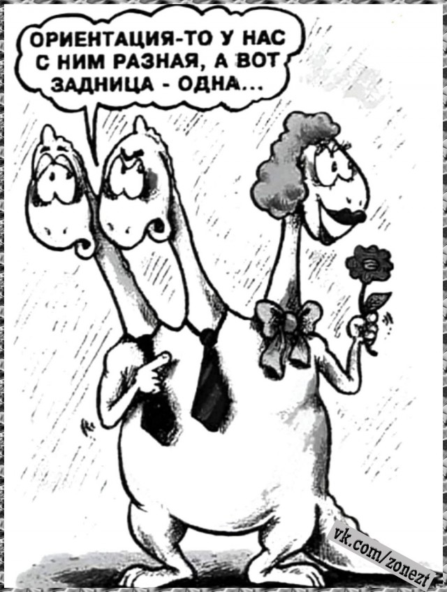 Картинки выходного дня
