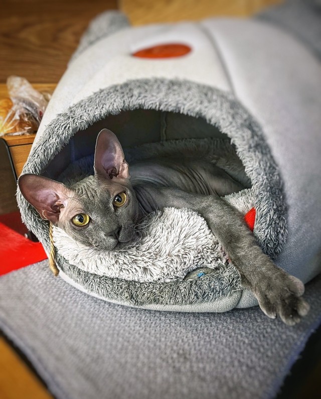 Давай знакомиться!