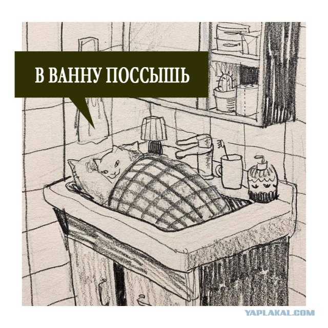 Интернет-мемчики на четверг и увлажнитель воздуха