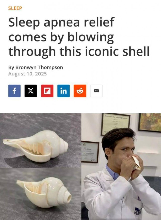 Дудение в морскую ракушку может помочь избавиться от храпа