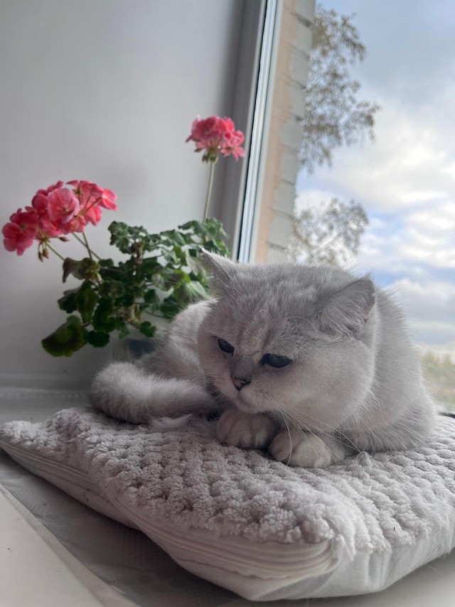 Не плачь! Я с тобой!