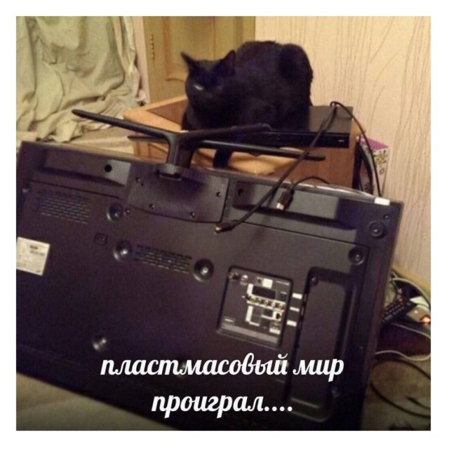 Так себе картинки 22.11.25