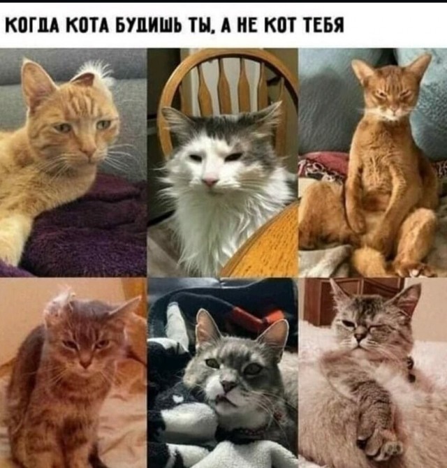 Пятничные картинки