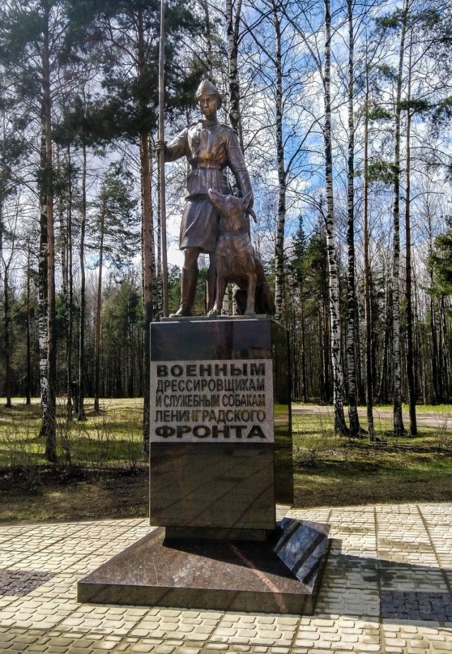 Они служили, спасали и не отступали!