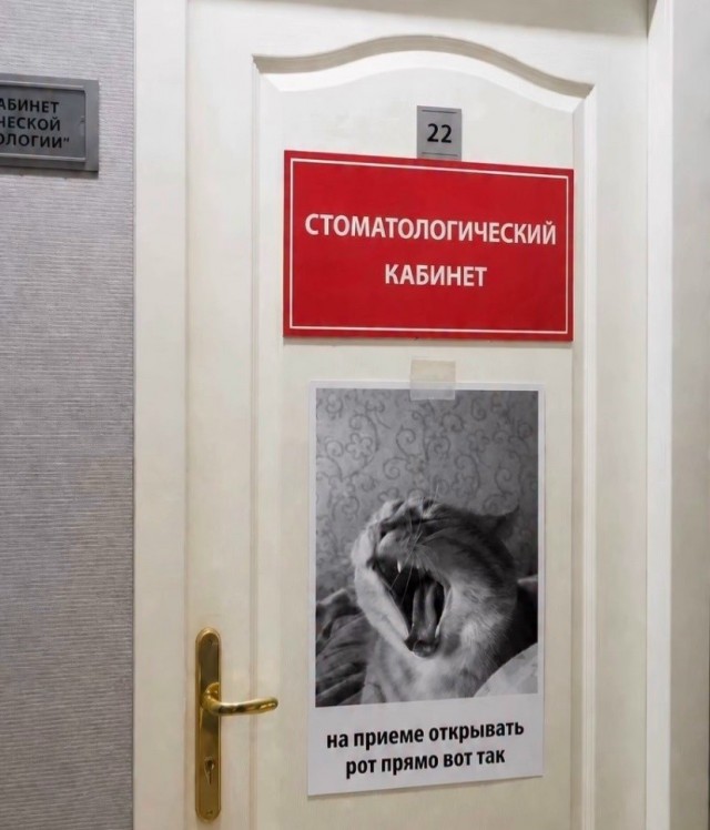 Картинки для деградации 203  (разной степени свежести)