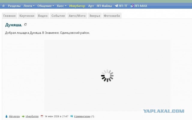 блять, а почему на ЯПе до сих пор не показывает видео в хроме?