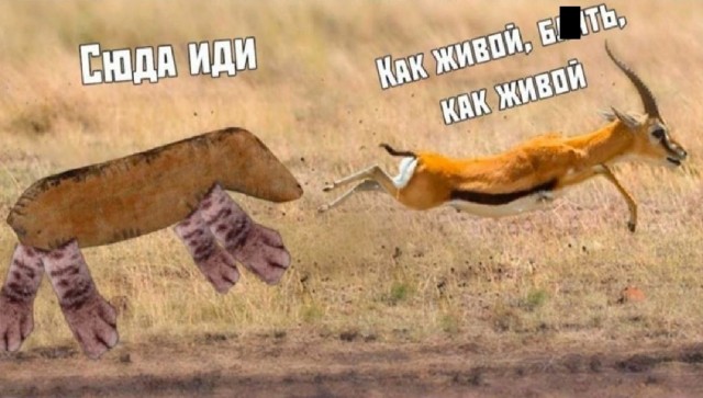 В Индонезии есть своя версия «Сумерек» и «Волчонка»