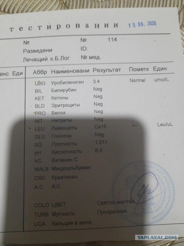 Не дать растаять Снегурчке. Нужна помощь всесильного Япа.