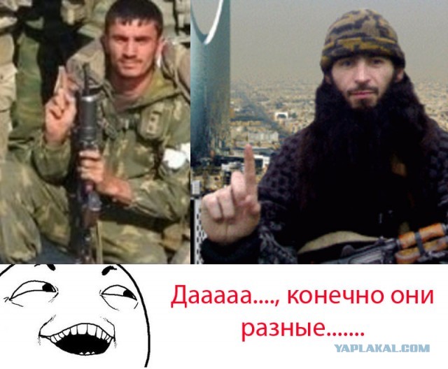 Толерантности пост