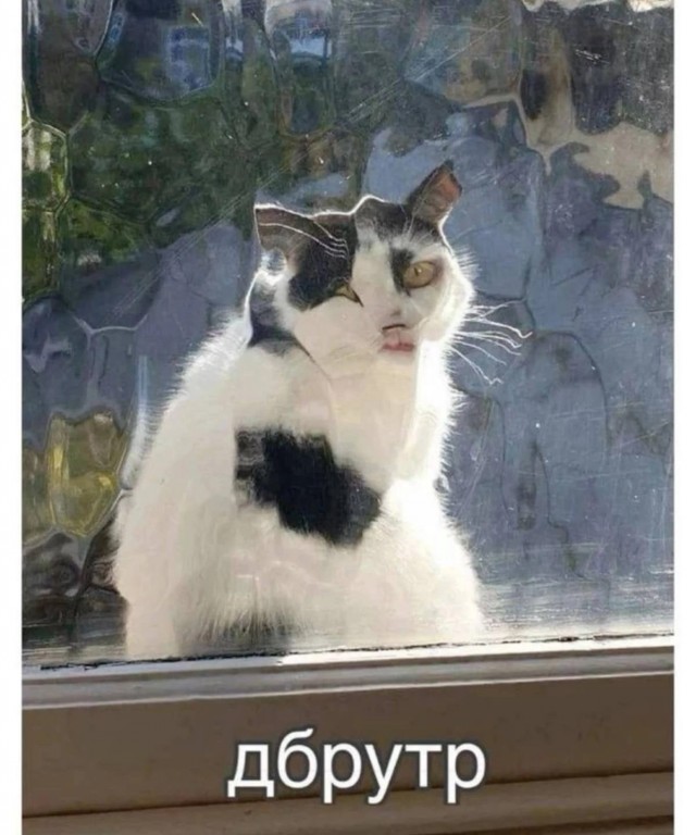 Просто фото