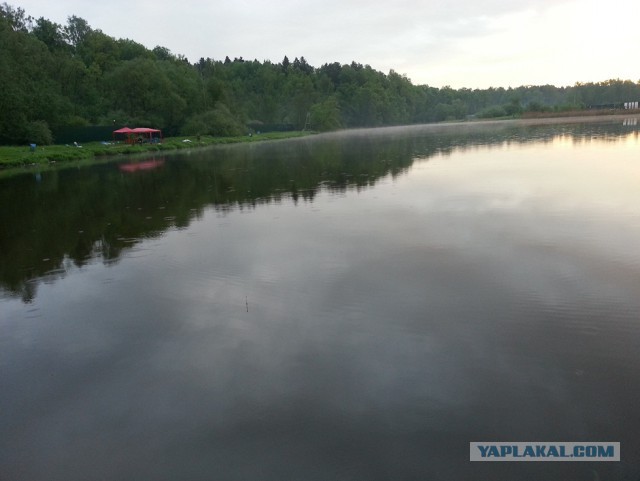 Красота природы не зависит от....