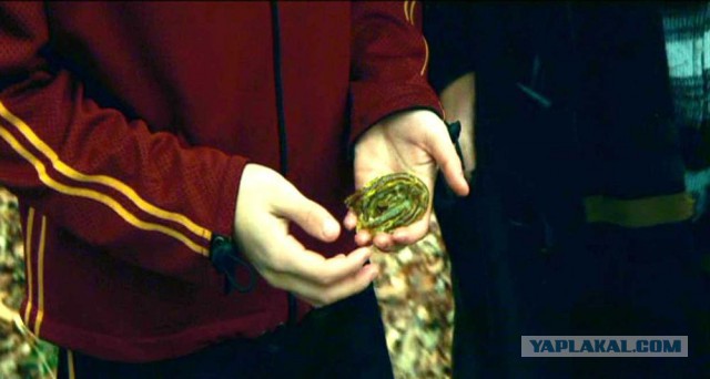 Дайверская маска, превращающая человека в амфибию