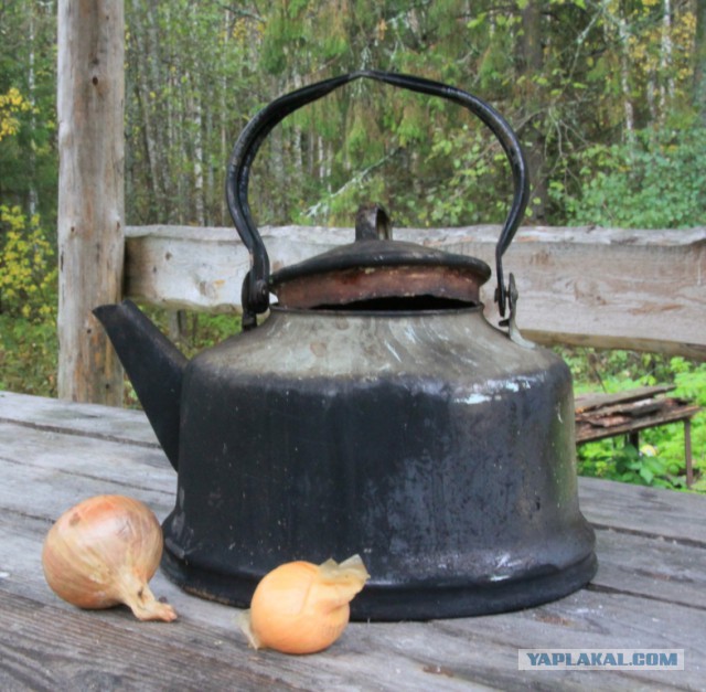 Черный волк