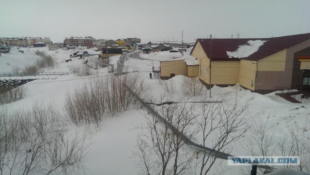 Заполярье ЯНАО