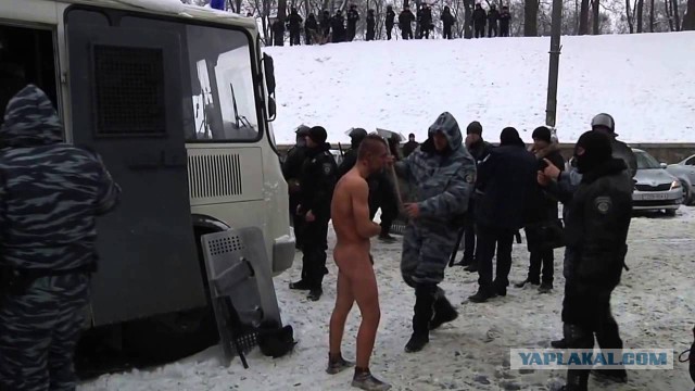 Беркут - Россия .