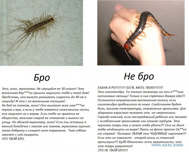 Чужие среди нас