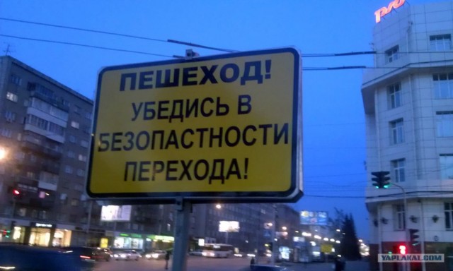 Реформа образования удалась!