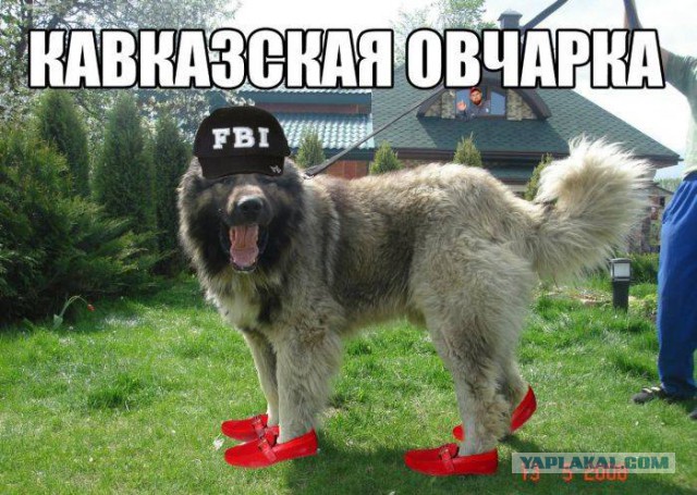 Картинки для настроения
