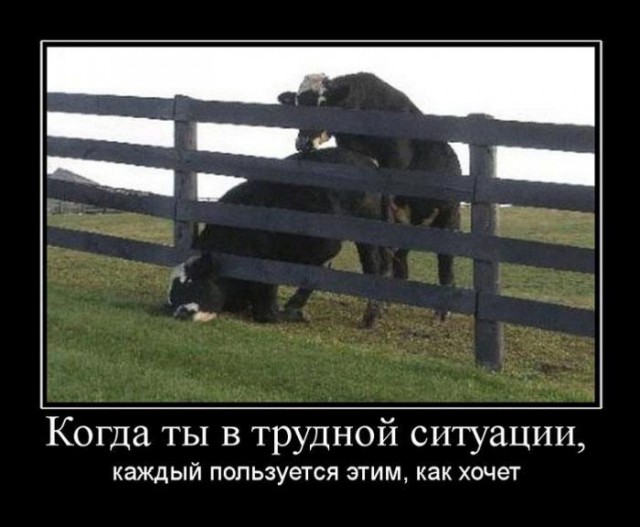 Вы хотите "демов"? часть 2-я