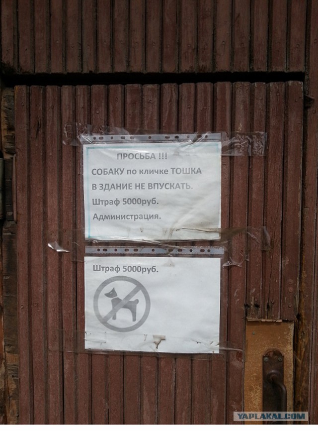 Прикольные объявления и надписи