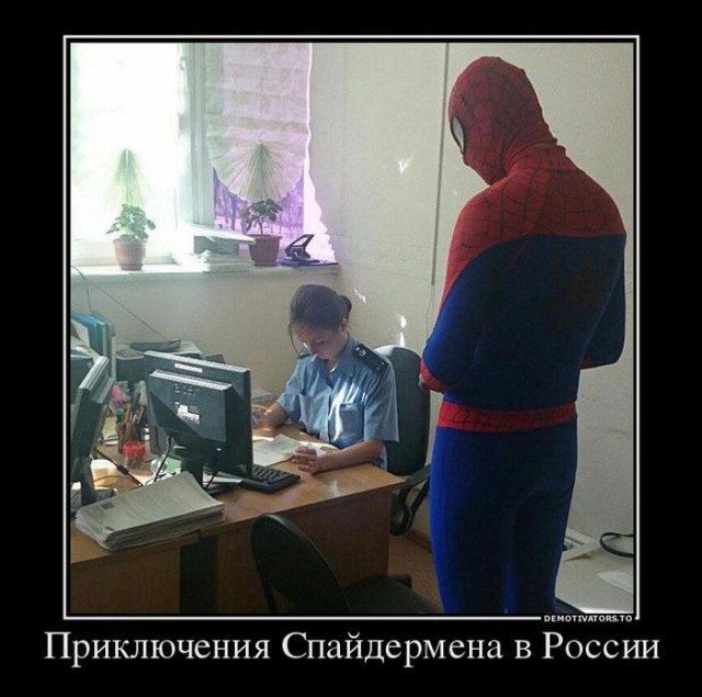 Картинки