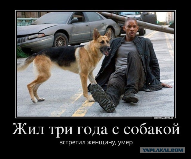 Альтернативные концовки знаменитых фильмов