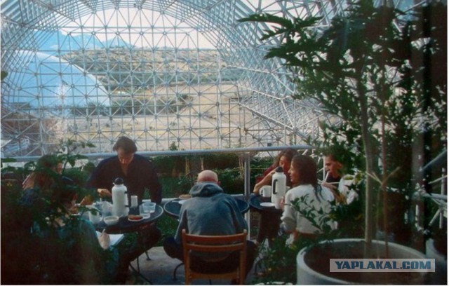 Провалившийся рай - невероятно отрезвляющий эксперимент