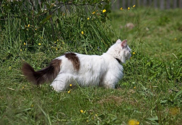 Славянская Душа