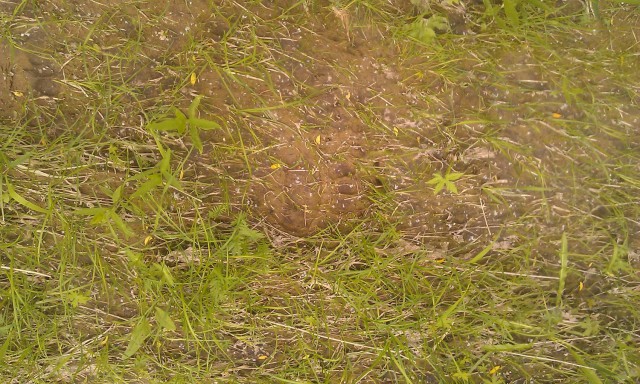 Магадан, старые и новые фотки