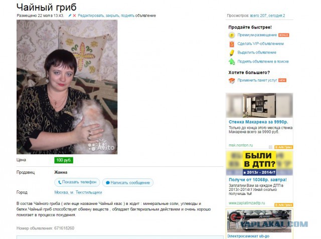 Чайный гриб