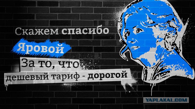 Яровая ответила на критику антитеррористического закона.