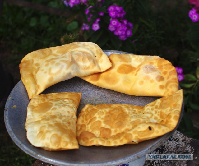 Чебуреки от Пчёлы