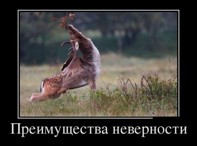 Разные картинки из сети