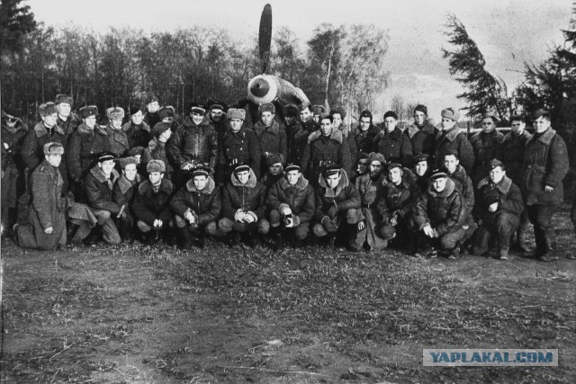 Гордая Франция. Победители. 1940-1945