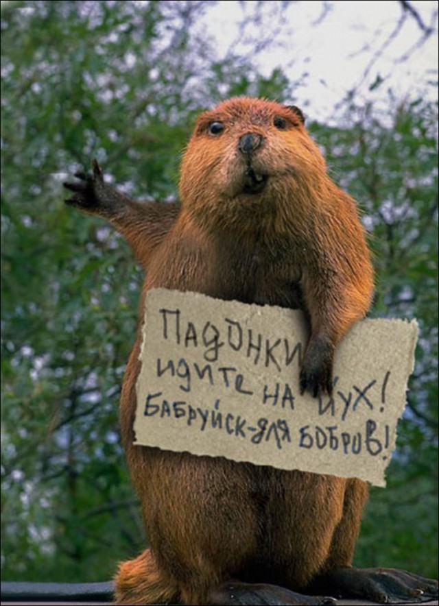 Продавщица из Бобруйска справила нужду не отходя от рабочего места