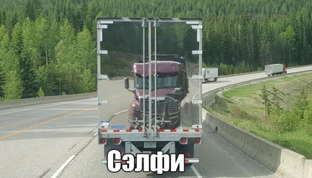 Смешные картинки