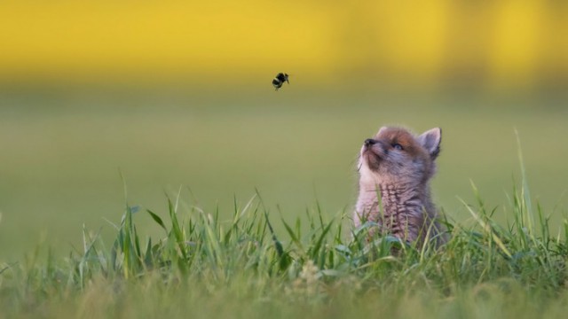 Итоги проверки пользователей