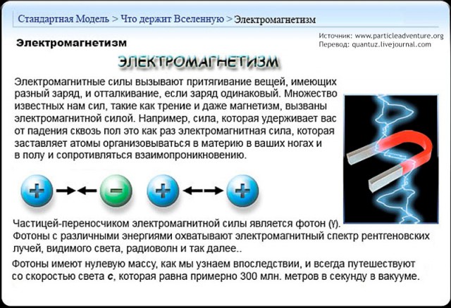 Физика: Стандартная Модель