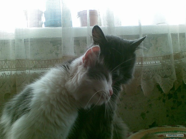 Love Story