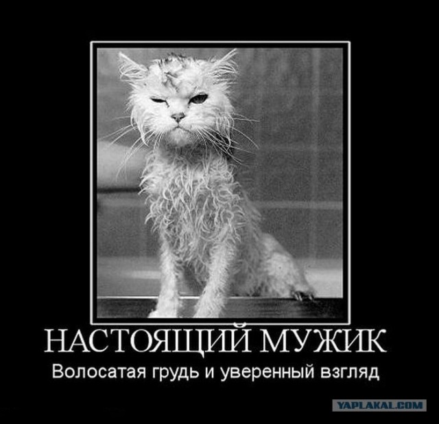 Ты! Да, ты... Ты ему не нравишься!