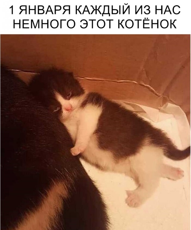 Немного милоты