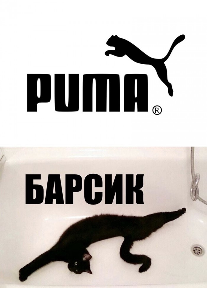 Немного картинок с надписями и без - 10