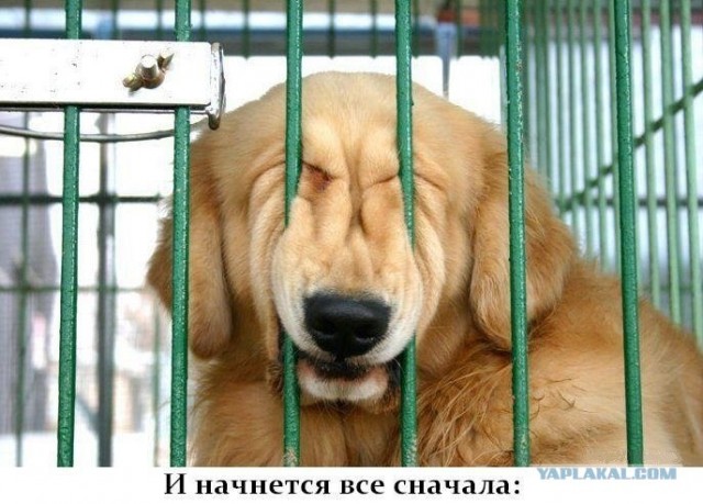 ПЯТНИЦЦО!