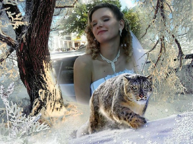 Страшное похмелье свадебного фотографа
