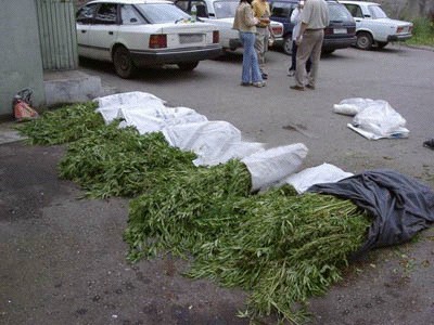 Фотожаба: Бабушкина бочка