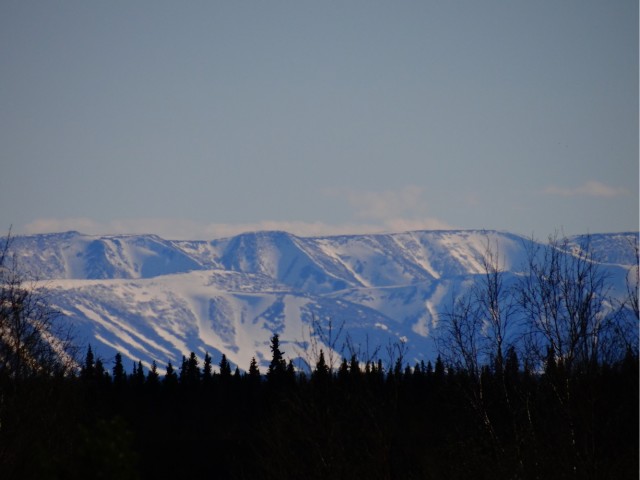 Где-то на Урале лес заменяет людям небо