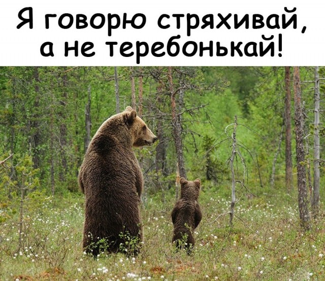 чОрный юмор