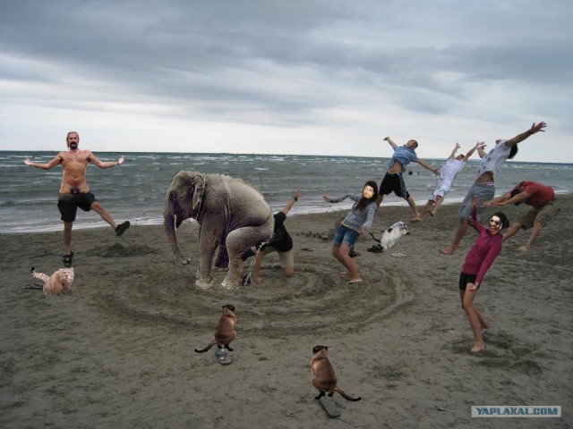 Творческая обработка пляжного прикола